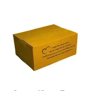 5 Ply – Packaging Carton Box – Medium (10pcs)