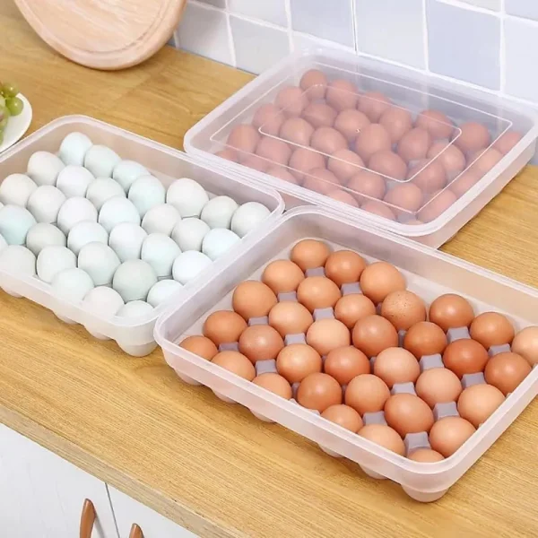 34 Gird Egg Storage Box - Image 2
